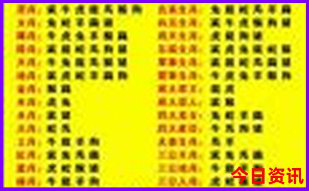 2005年新澳门天天开奖免费准备